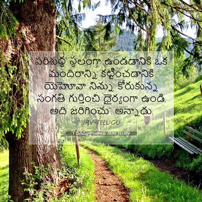 Picture 07 - 1 దినవృత్తాంతాలు 28:10 TELIRV - పరిశుద్ధ స్థలంగా - Bible Verse Picture