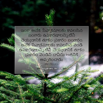 Picture 07 - 1 దినవృత్తాంతాలు 28:14 TELIRV - ఇంకా, అనేక - Bible Verse Picture