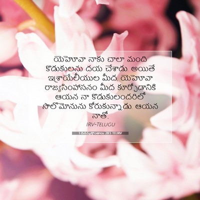 Picture 07 - 1 దినవృత్తాంతాలు 28:5 TELIRV - యెహోవా నాకు చాలా - Bible Verse Picture