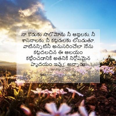 Picture 07 - 1 దినవృత్తాంతాలు 29:19 TELIRV - నా కొడుకు - Bible Verse Picture