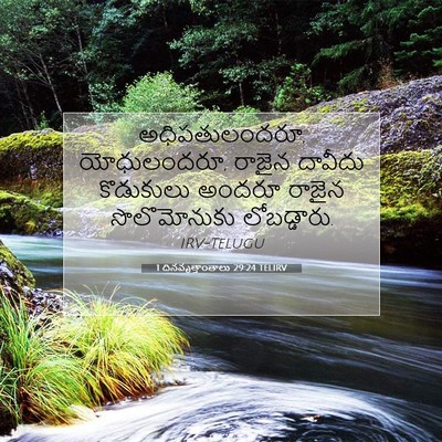 Picture 07 - 1 దినవృత్తాంతాలు 29:24 TELIRV - అధిపతులందరూ, - Bible Verse Picture