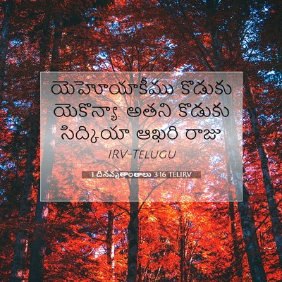 Picture 07 - 1 దినవృత్తాంతాలు 3:16 TELIRV - యెహోయాకీము కొడుకు - Bible Verse Picture