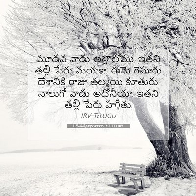 Picture 07 - 1 దినవృత్తాంతాలు 3:2 TELIRV - మూడవ వాడు - Bible Verse Picture