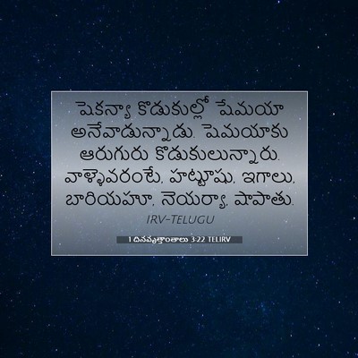 Picture 07 - 1 దినవృత్తాంతాలు 3:22 TELIRV - షెకన్యా - Bible Verse Picture