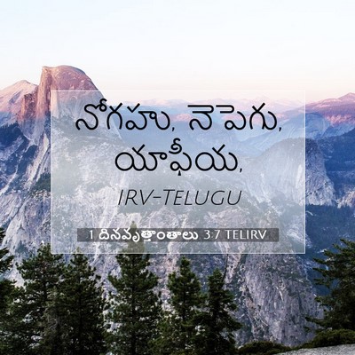 Picture 07 - 1 దినవృత్తాంతాలు 3:7 TELIRV - నోగహు, నెపెగు, - Bible Verse Picture
