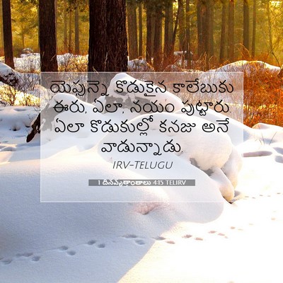Picture 07 - 1 దినవృత్తాంతాలు 4:15 TELIRV - యెఫున్నె కొడుకైన - Bible Verse Picture