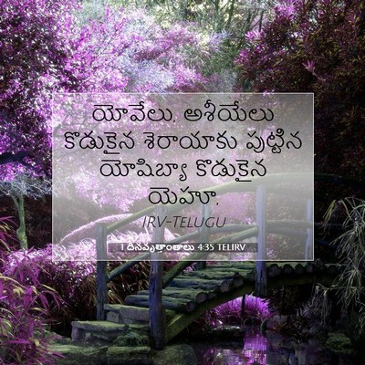Picture 07 - 1 దినవృత్తాంతాలు 4:35 TELIRV - యోవేలు, అశీయేలు - Bible Verse Picture