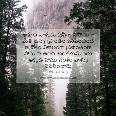 Picture 07 - 1 దినవృత్తాంతాలు 4:40 TELIRV - అక్కడ వాళ్ళకు - Bible Verse Picture