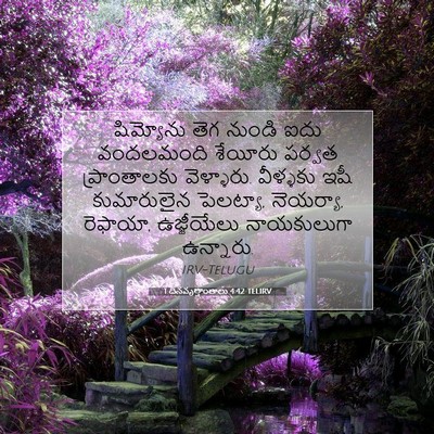 Picture 07 - 1 దినవృత్తాంతాలు 4:42 TELIRV - షిమ్యోను తెగ - Bible Verse Picture
