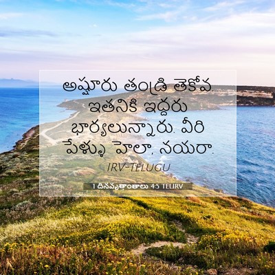 Picture 07 - 1 దినవృత్తాంతాలు 4:5 TELIRV - అష్షూరు తండ్రి - Bible Verse Picture