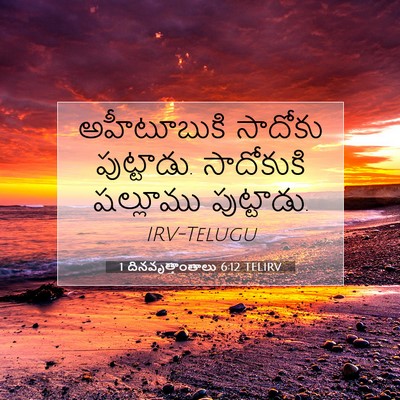 Picture 07 - 1 దినవృత్తాంతాలు 6:12 TELIRV - అహీటూబుకి సాదోకు - Bible Verse Picture