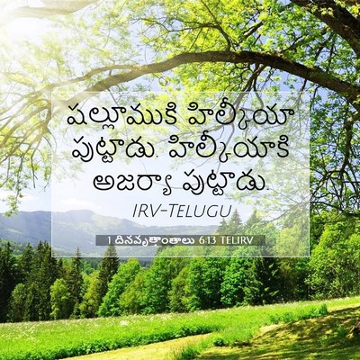 Picture 07 - 1 దినవృత్తాంతాలు 6:13 TELIRV - షల్లూముకి - Bible Verse Picture