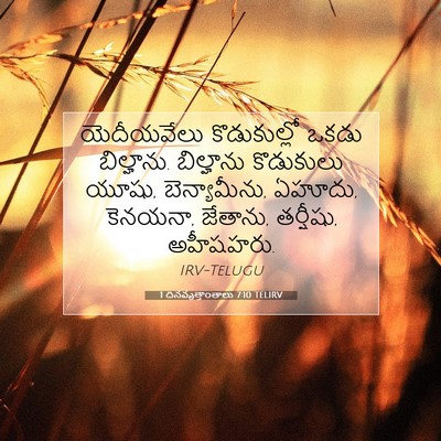 Picture 07 - 1 దినవృత్తాంతాలు 7:10 TELIRV - యెదీయవేలు - Bible Verse Picture