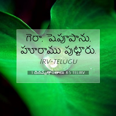 Picture 07 - 1 దినవృత్తాంతాలు 8:5 TELIRV - గెరా, షెపూపాను, - Bible Verse Picture