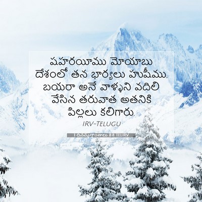 Picture 07 - 1 దినవృత్తాంతాలు 8:8 TELIRV - షహరయీము మోయాబు - Bible Verse Picture