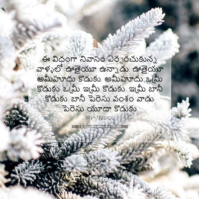 Picture 07 - 1 దినవృత్తాంతాలు 9:4 TELIRV - ఈ విధంగా నివాసం - Bible Verse Picture