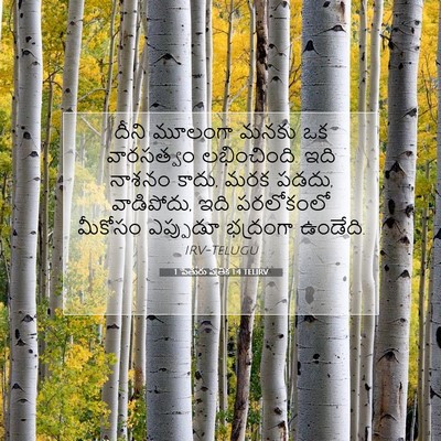 Picture 07 - 1 పేతురు పత్రిక 1:4 TELIRV - దీని మూలంగా మనకు - Bible Verse Picture