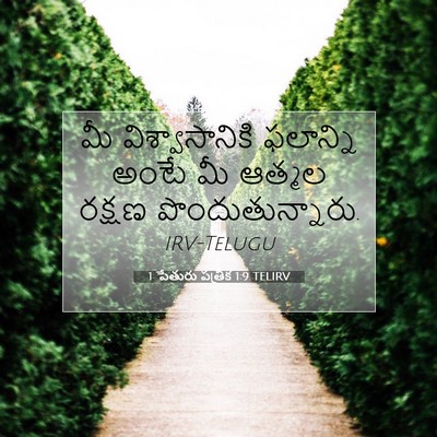 Picture 07 - 1 పేతురు పత్రిక 1:9 TELIRV - మీ విశ్వాసానికి - Bible Verse Picture