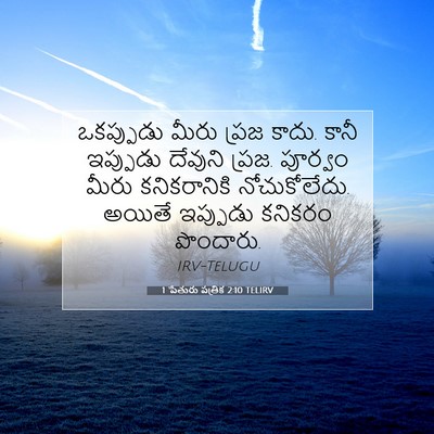 Picture 07 - 1 పేతురు పత్రిక 2:10 TELIRV - ఒకప్పుడు మీరు - Bible Verse Picture