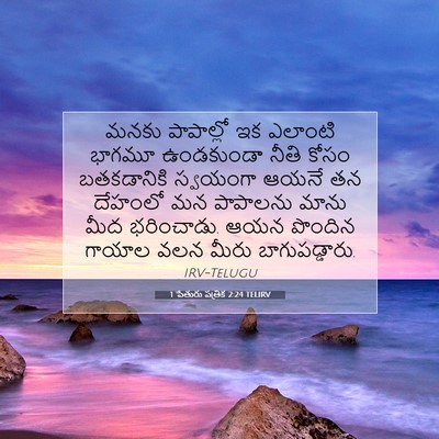 Picture 07 - 1 పేతురు పత్రిక 2:24 TELIRV - మనకు పాపాల్లో ఇక - Bible Verse Picture