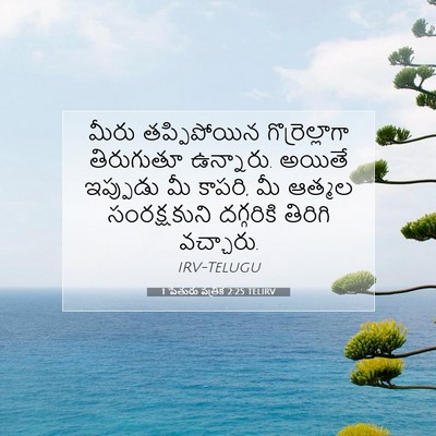 Picture 07 - 1 పేతురు పత్రిక 2:25 TELIRV - మీరు తప్పిపోయిన - Bible Verse Picture