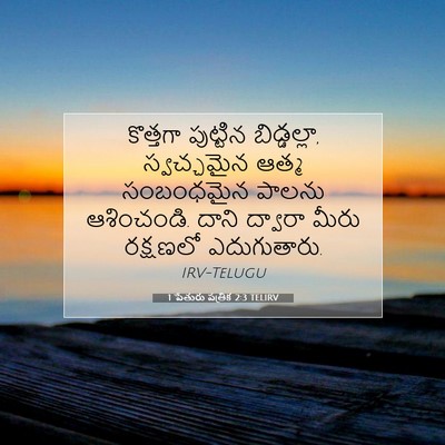 Picture 07 - 1 పేతురు పత్రిక 2:3 TELIRV - కొత్తగా పుట్టిన - Bible Verse Picture