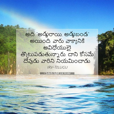 Picture 07 - 1 పేతురు పత్రిక 2:8 TELIRV - అది “అడ్డురాయి, - Bible Verse Picture