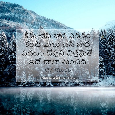 Picture 07 - 1 పేతురు పత్రిక 3:17 TELIRV - కీడు చేసి బాధ పడడం - Bible Verse Picture