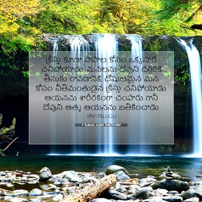 Picture 07 - 1 పేతురు పత్రిక 3:18 TELIRV - క్రీస్తు కూడా - Bible Verse Picture
