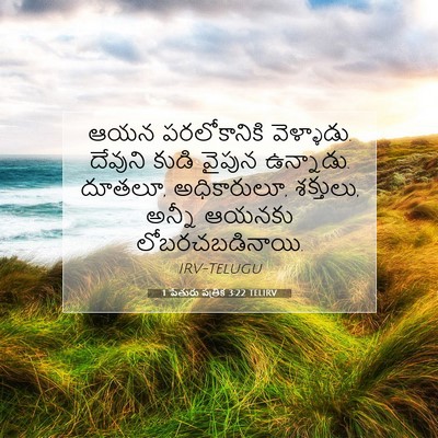 Picture 07 - 1 పేతురు పత్రిక 3:22 TELIRV - ఆయన పరలోకానికి - Bible Verse Picture
