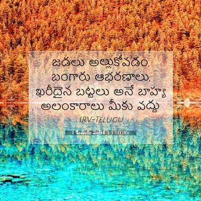 Picture 07 - 1 పేతురు పత్రిక 3:3 TELIRV - జడలు అల్లుకోవడం, - Bible Verse Picture