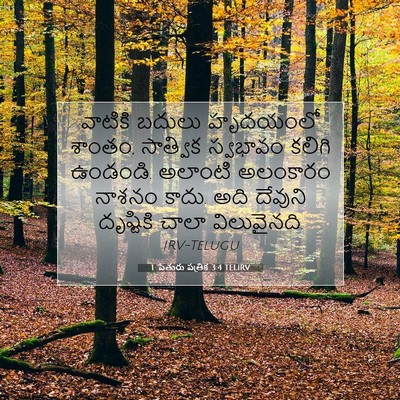 Picture 07 - 1 పేతురు పత్రిక 3:4 TELIRV - వాటికి బదులు - Bible Verse Picture