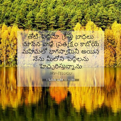 Picture 07 - 1 పేతురు పత్రిక 5:1 TELIRV - తోటి పెద్దనూ, - Bible Verse Picture
