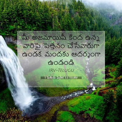 Picture 07 - 1 పేతురు పత్రిక 5:3 TELIRV - మీ అజమాయిషీ కింద - Bible Verse Picture