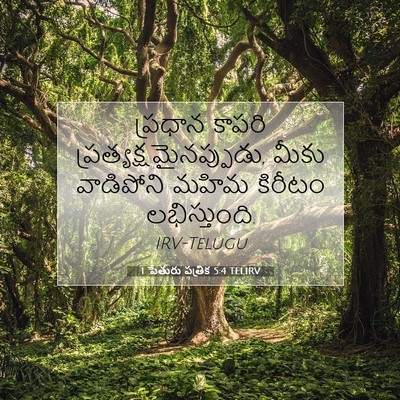 Picture 07 - 1 పేతురు పత్రిక 5:4 TELIRV - ప్రధాన కాపరి - Bible Verse Picture