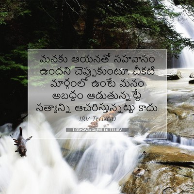 Picture 07 - 1 యోహాను పత్రిక 1:6 TELIRV - మనకు ఆయనతో సహవాసం - Bible Verse Picture