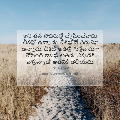 Picture 07 - 1 యోహాను పత్రిక 2:11 TELIRV - కాని తన సోదరుణ్ణి - Bible Verse Picture