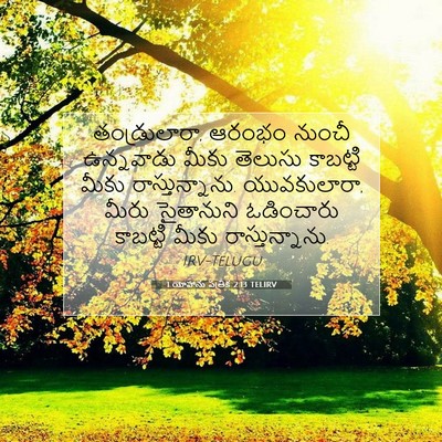 Picture 07 - 1 యోహాను పత్రిక 2:13 TELIRV - తండ్రులారా, ఆరంభం - Bible Verse Picture