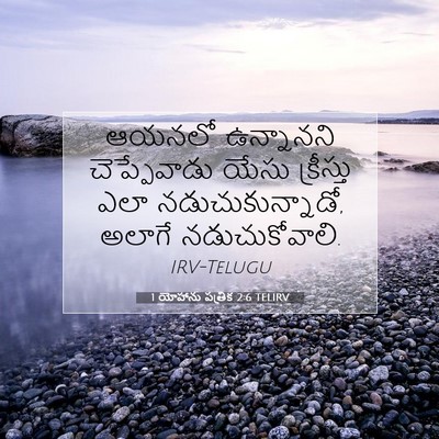 Picture 07 - 1 యోహాను పత్రిక 2:6 TELIRV - ఆయనలో ఉన్నానని - Bible Verse Picture