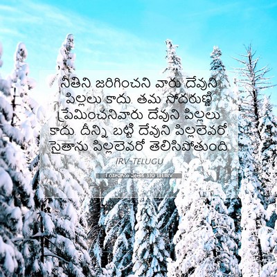 Picture 07 - 1 యోహాను పత్రిక 3:10 TELIRV - నీతిని జరిగించని - Bible Verse Picture