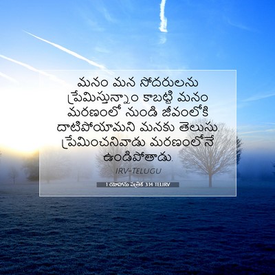 Picture 07 - 1 యోహాను పత్రిక 3:14 TELIRV - మనం మన సోదరులను - Bible Verse Picture