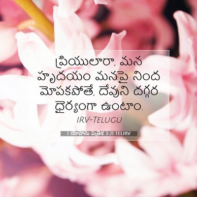 Picture 07 - 1 యోహాను పత్రిక 3:21 TELIRV - ప్రియులారా, మన - Bible Verse Picture