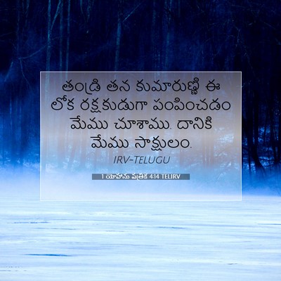 Picture 07 - 1 యోహాను పత్రిక 4:14 TELIRV - తండ్రి తన - Bible Verse Picture