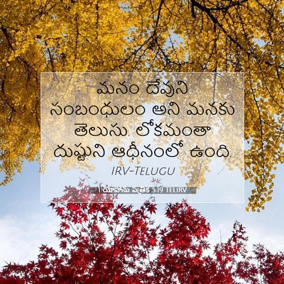 Picture 07 - 1 యోహాను పత్రిక 5:19 TELIRV - మనం దేవుని - Bible Verse Picture