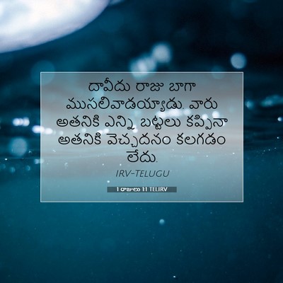 Picture 07 - 1 రాజులు 1:1 TELIRV - దావీదు రాజు బాగా - Bible Verse Picture