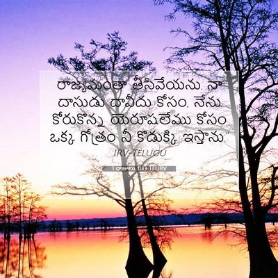 Picture 07 - 1 రాజులు 11:13 TELIRV - రాజ్యమంతా - Bible Verse Picture