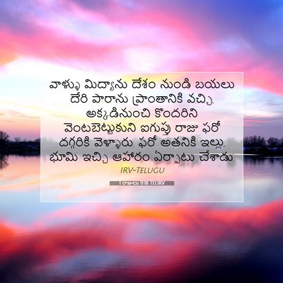 Picture 07 - 1 రాజులు 11:18 TELIRV - వాళ్ళు మిద్యాను - Bible Verse Picture