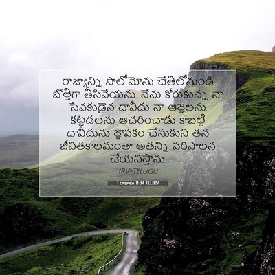 Picture 07 - 1 రాజులు 11:34 TELIRV - రాజ్యాన్ని - Bible Verse Picture
