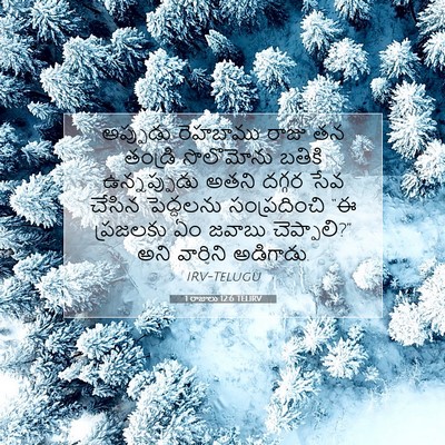 Picture 07 - 1 రాజులు 12:6 TELIRV - అప్పుడు రెహబాము - Bible Verse Picture