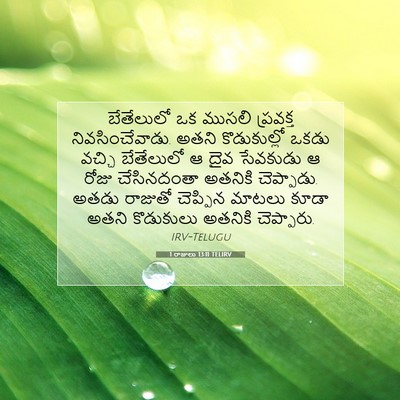 Picture 07 - 1 రాజులు 13:11 TELIRV - బేతేలులో ఒక ముసలి - Bible Verse Picture